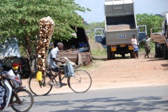 25-Lastentransport-in-Jaffna