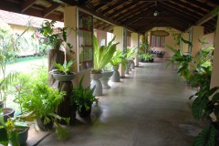 58-Seth-Sevana