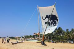 30-Boote-am-Strand-in-Negombo