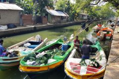 32-Kanaele-in-Negombo